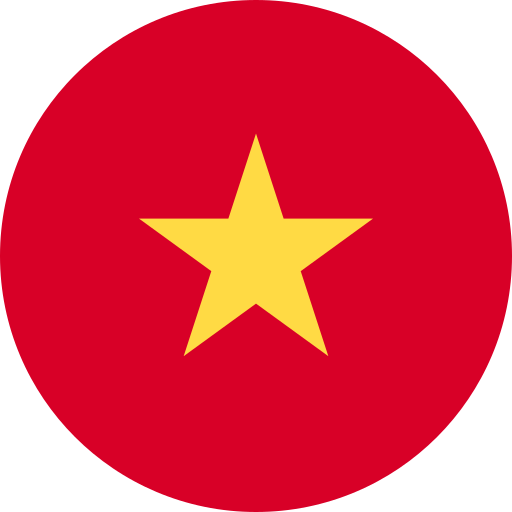 Vietnamese Flag